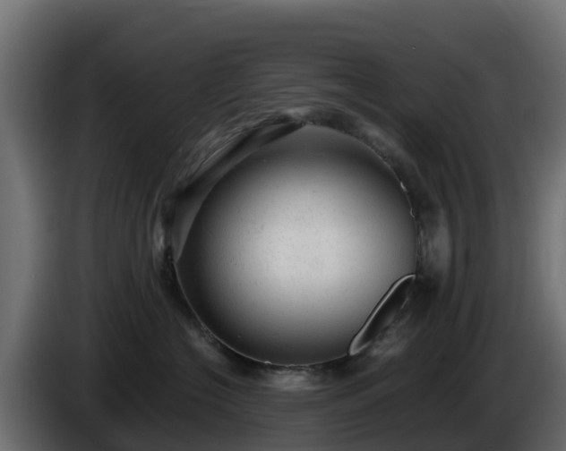 X0000085760574200703231157