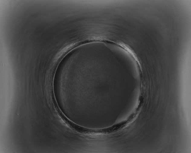 X0000085760577200703231156