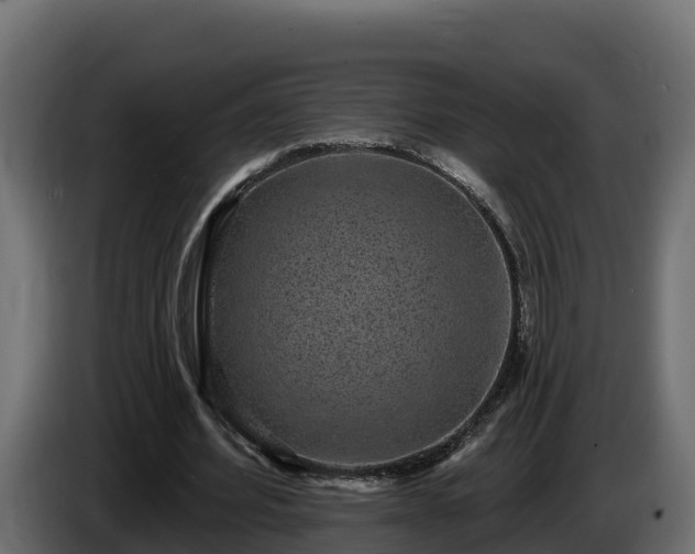 X0000085760580200703231156