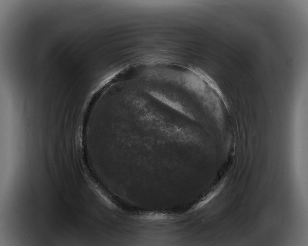 X0000085760581200703231156