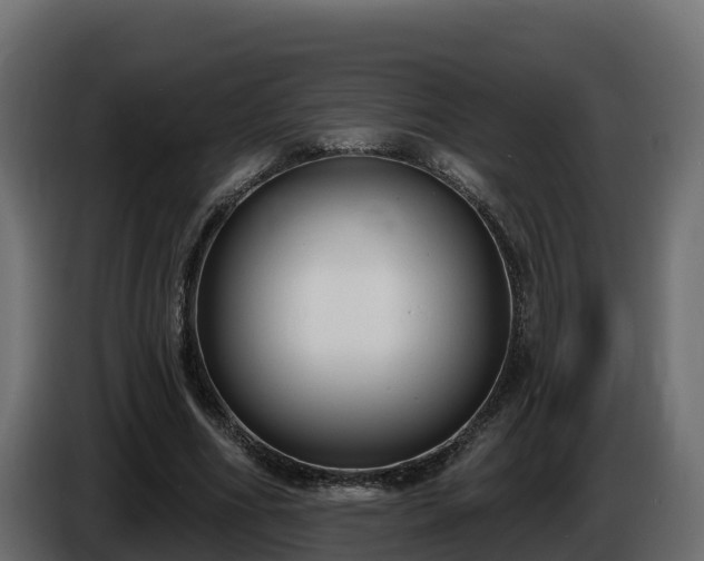 X0000085760586200703231156
