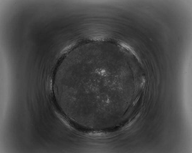 X0000085760589200703231156