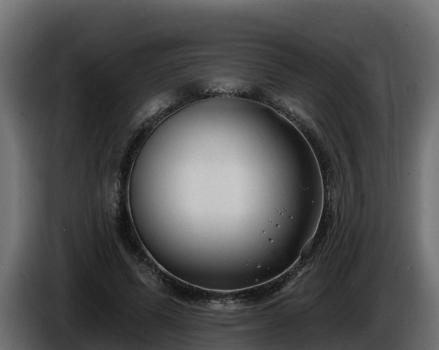 X0000085760591200703231156