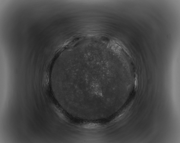 X0000085760593200703231156