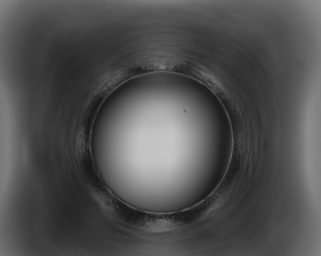 X0000085760594200703231156