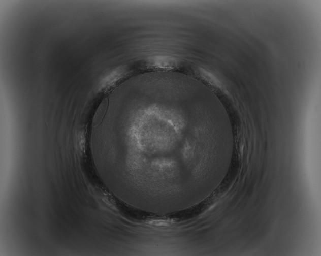 X0000085760595200703231156