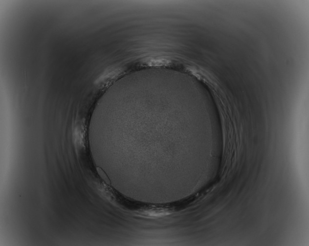 X0000085760604200703231156