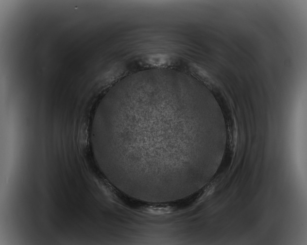 X0000085760606200703231156