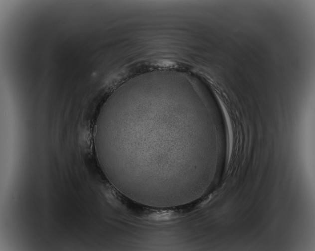 X0000085760609200703231156