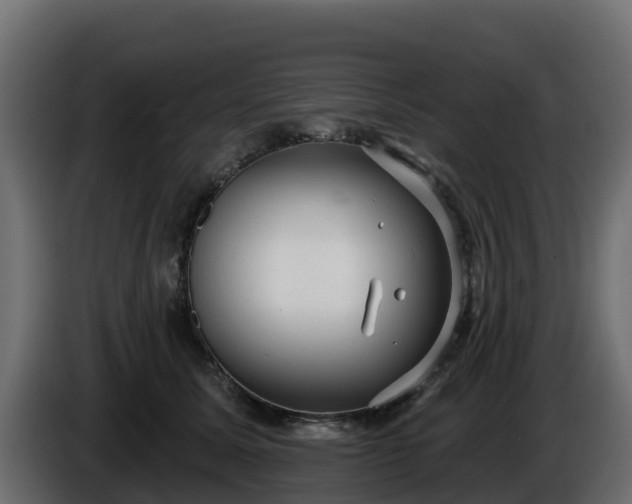 X0000085760611200703231156