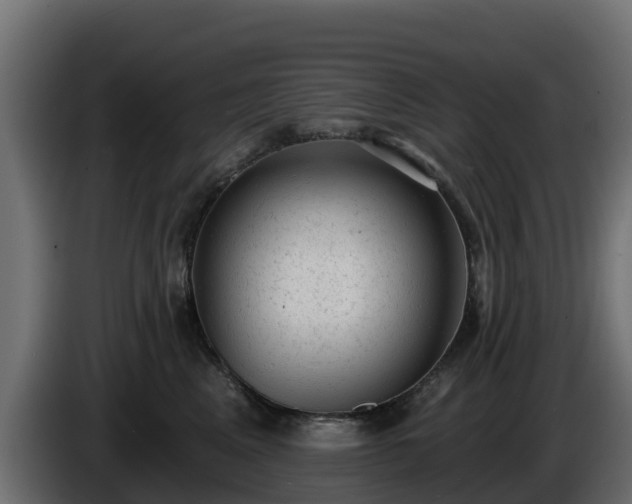 X0000085760617200703231156