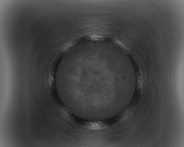 X0000085760618200703231156