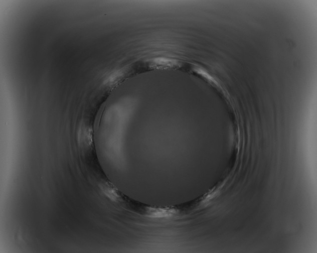X0000085760621200703231156