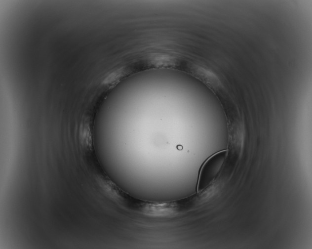 X0000085760622200703231156
