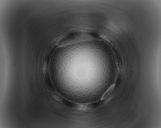 X0000085760623200703231156