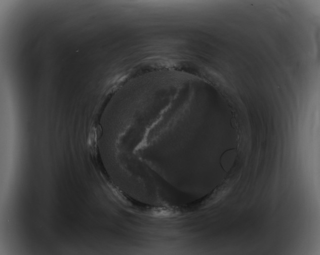 X0000085760624200703231156