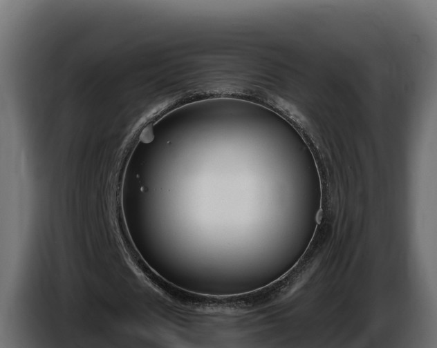 X0000085760625200703231155