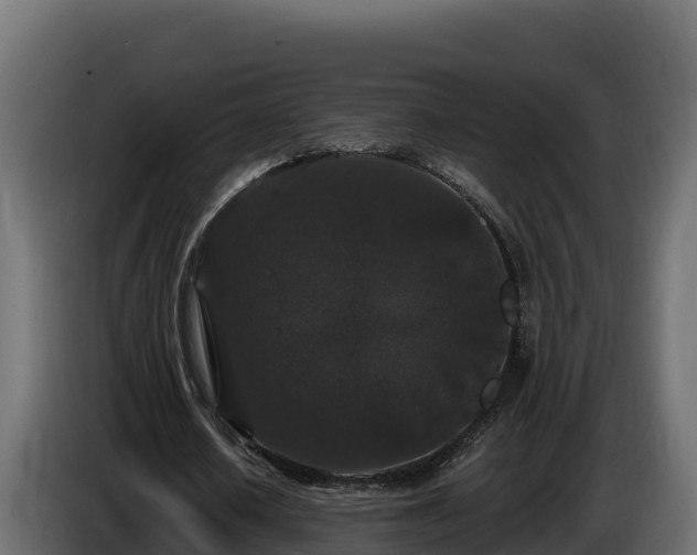 X0000085760626200703231155