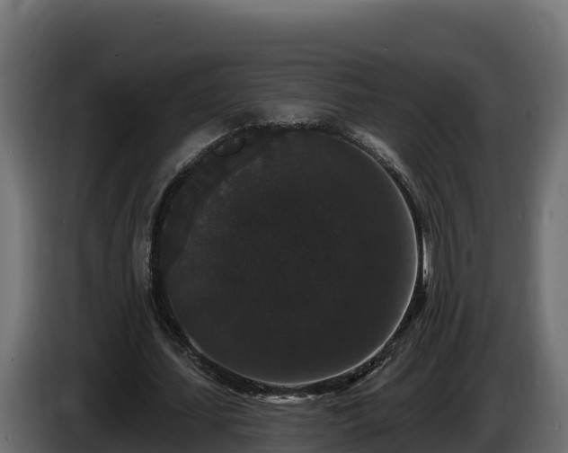 X0000085760627200703231155