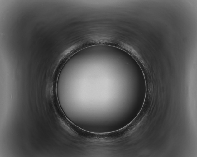 X0000085760629200703231155