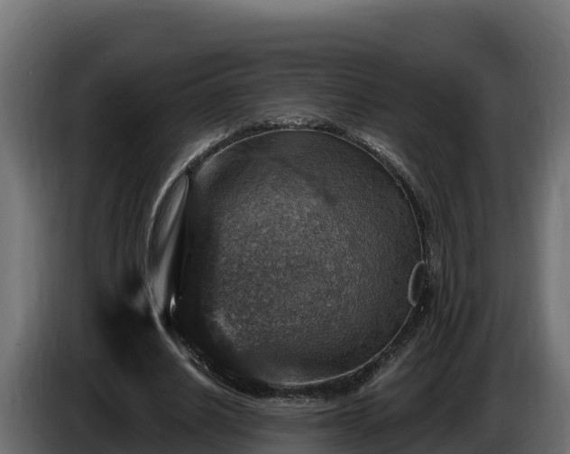 X0000085760630200703231155