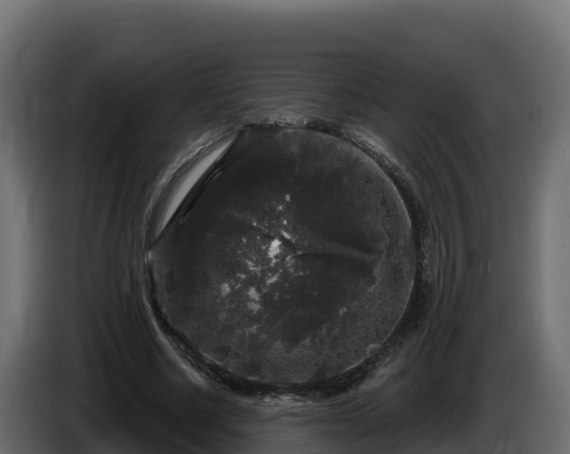 X0000085760634200703231155