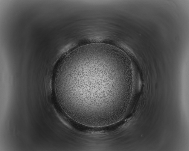 X0000085760638200703231155