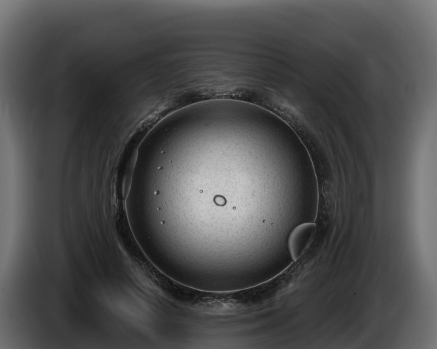 X0000085760642200703231155