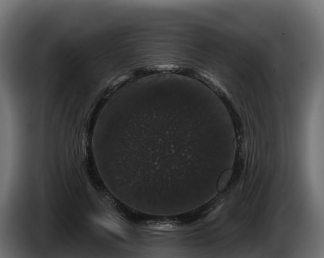 X0000085760643200703231155