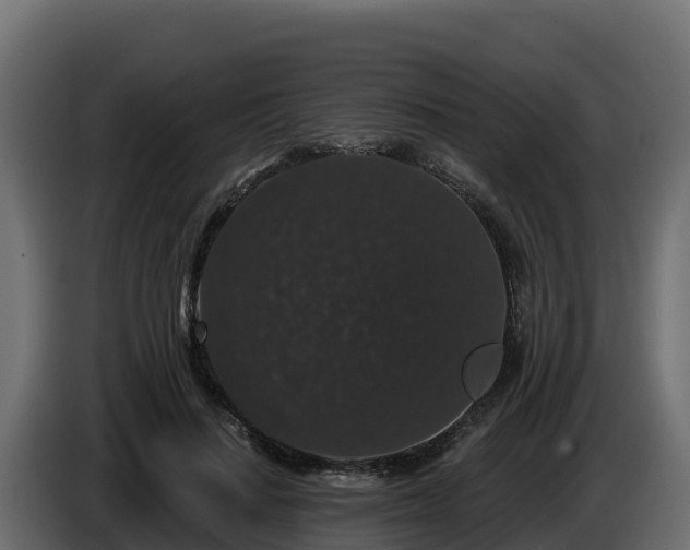 X0000085760644200703231155