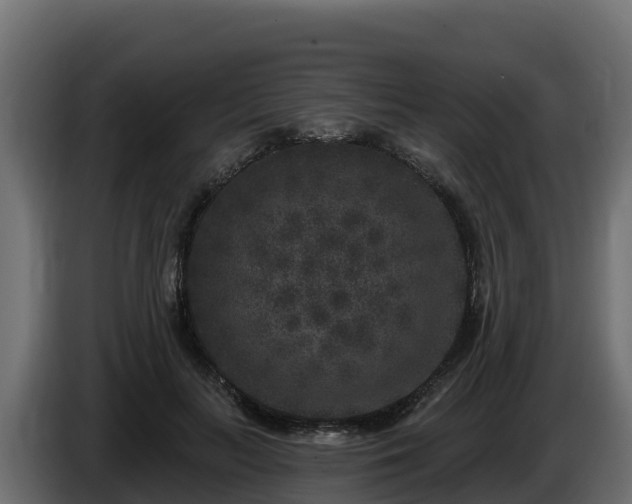 X0000085760647200703231155