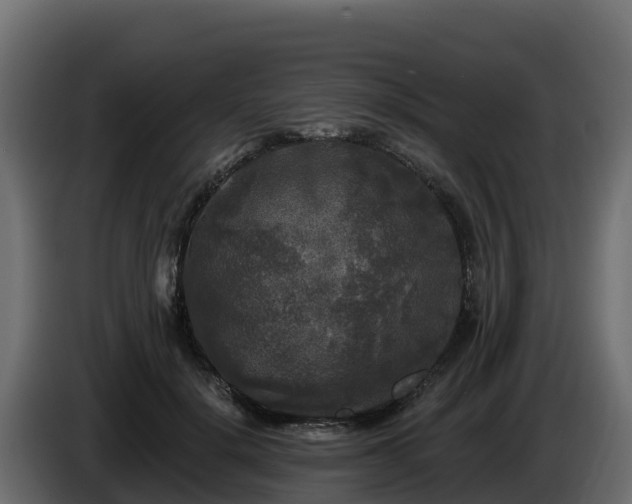 X0000085760652200703231155