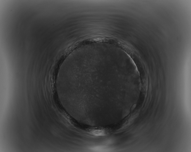X0000085760653200703231155