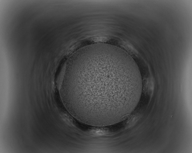 X0000085760655200703231155