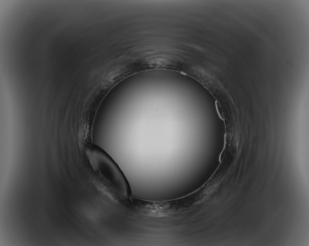 X0000085760660200703231155