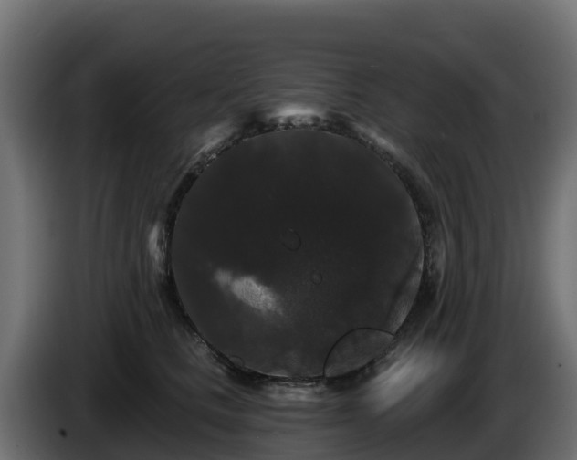X0000085760661200703231155