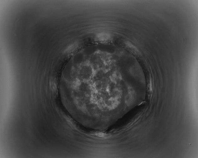 X0000085760662200703231155