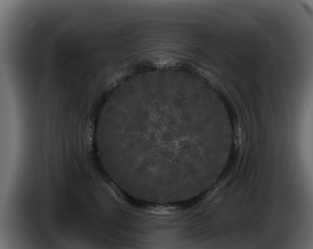 X0000085760664200703231155