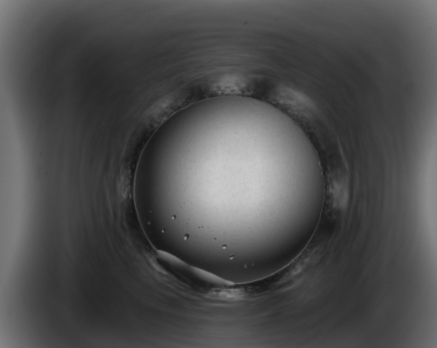 X0000085760665200703231155