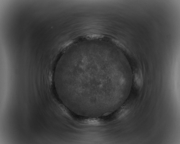 X0000085760668200703231156