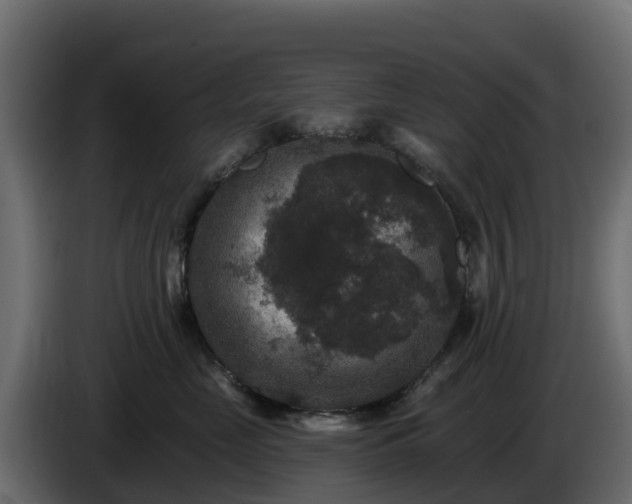 X0000085760669200703231156