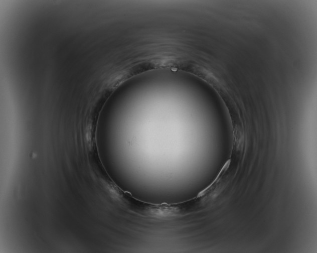 X0000085760670200703231156