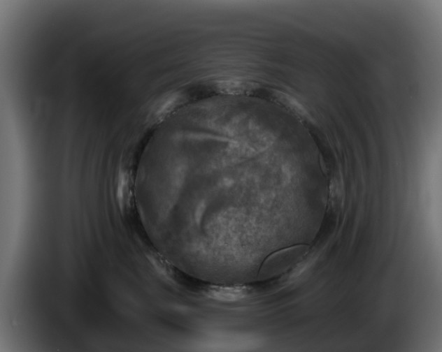 X0000085760671200703231156