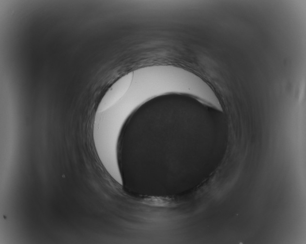 X0000085760672200703231156