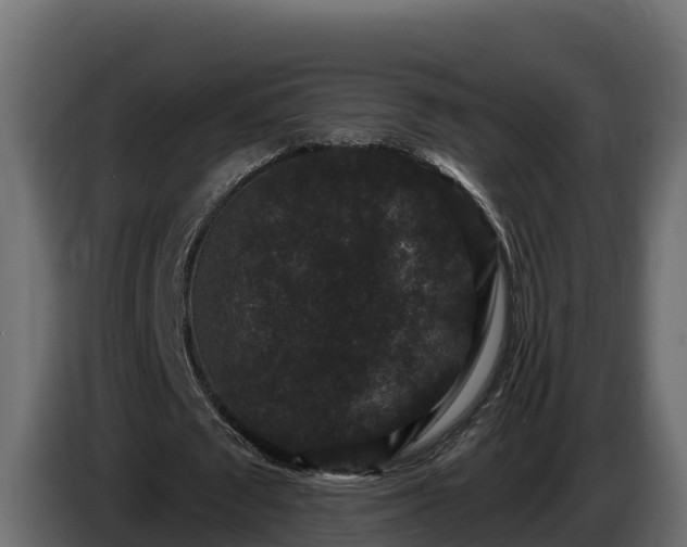 X0000085760673200703231155