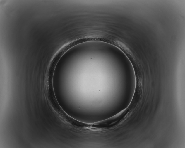 X0000085760676200703231155