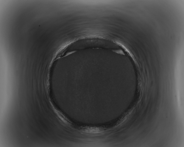 X0000085760677200703231155