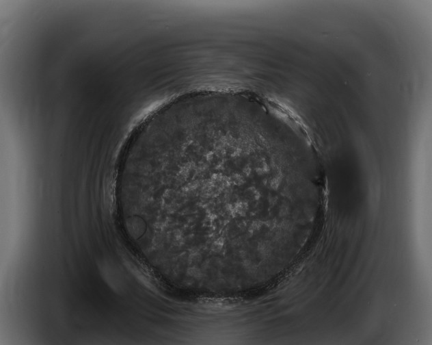 X0000085760679200703231155