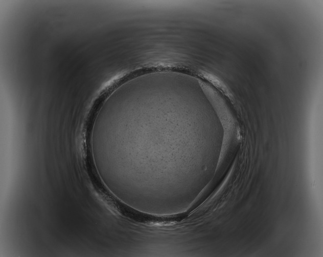 X0000085760680200703231155