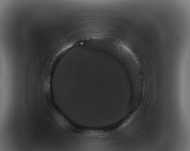 X0000085760681200703231155